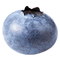 Blueberries Full Of Antioxidants And Bursting With Flavor