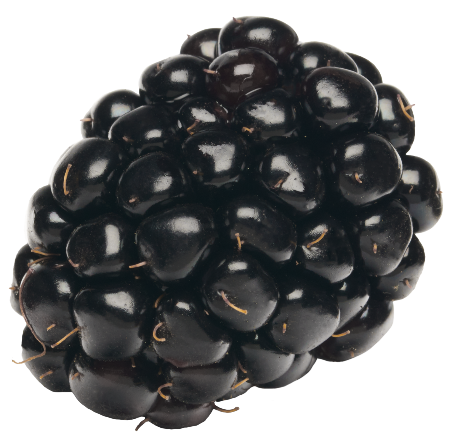 Blackberries Full of vitamin C, antioxidants and flavor!