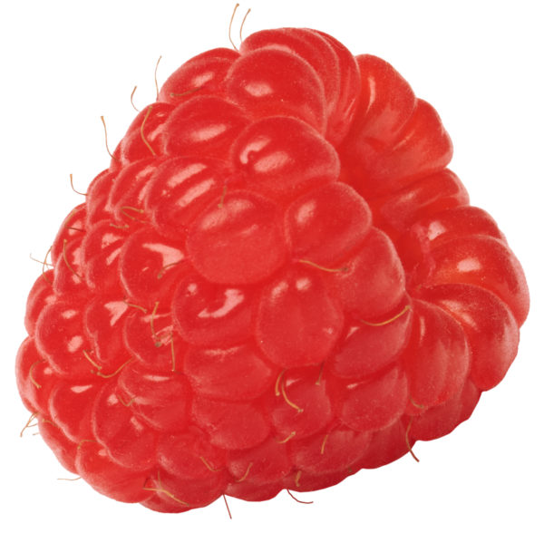 raspberry