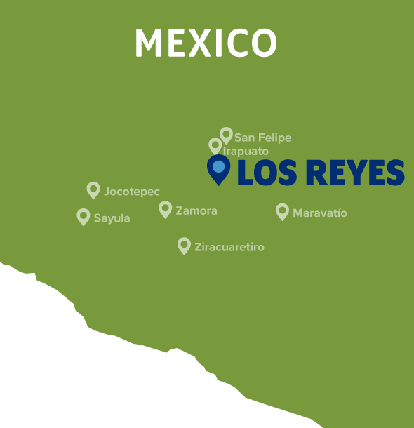 Map of Los Reyes