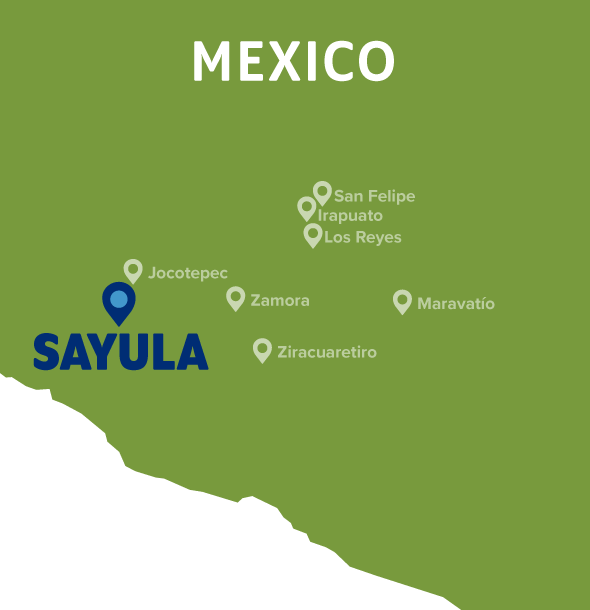 Map of Sayula