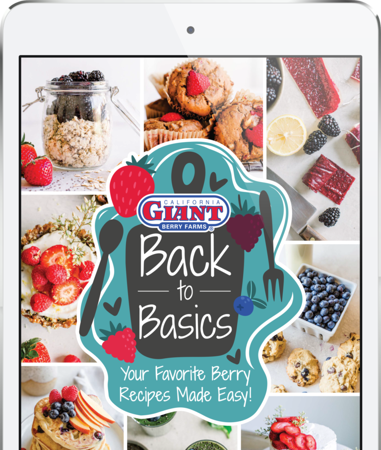 Back to Basics ebook