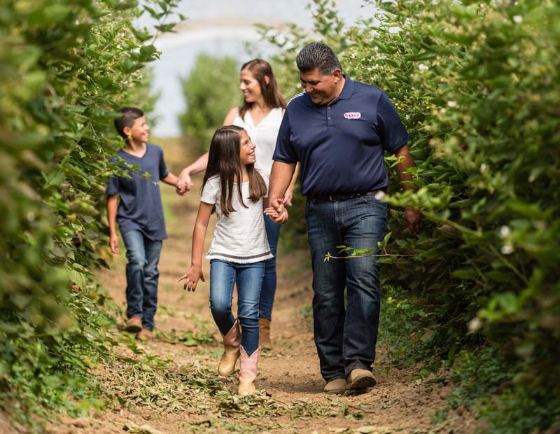 family walking through berry fields