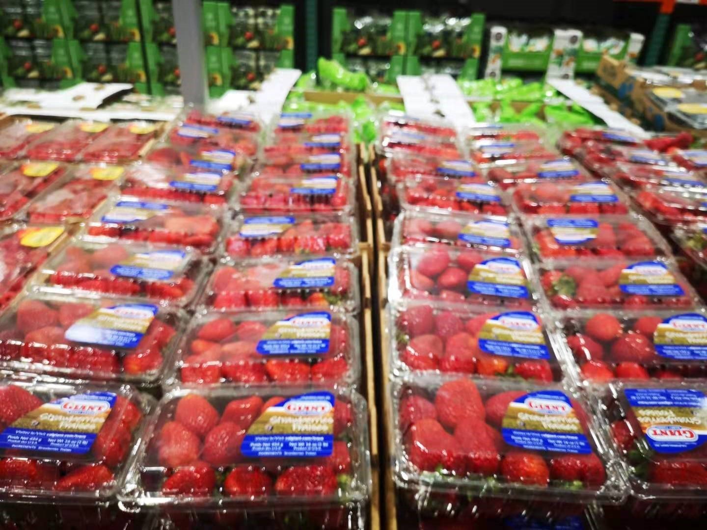 A Giant Team Effort Brings Strawberries to Costco’s First China
