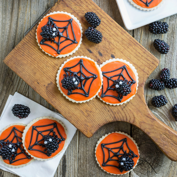 Scary Berry Spider Web Cookies