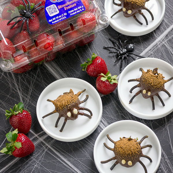 Scary Berry Spiders