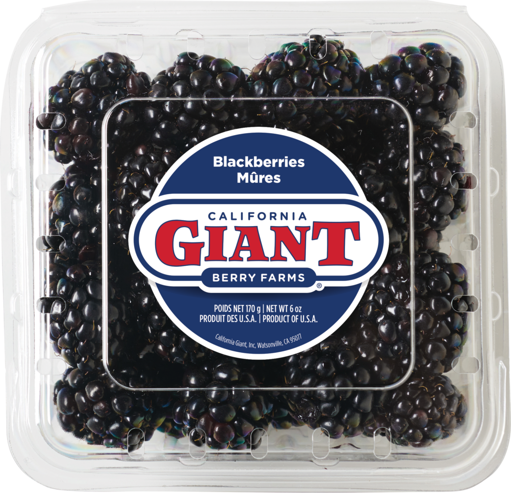 California Giant 6 oz. Conventional Blackberries Clamshell
