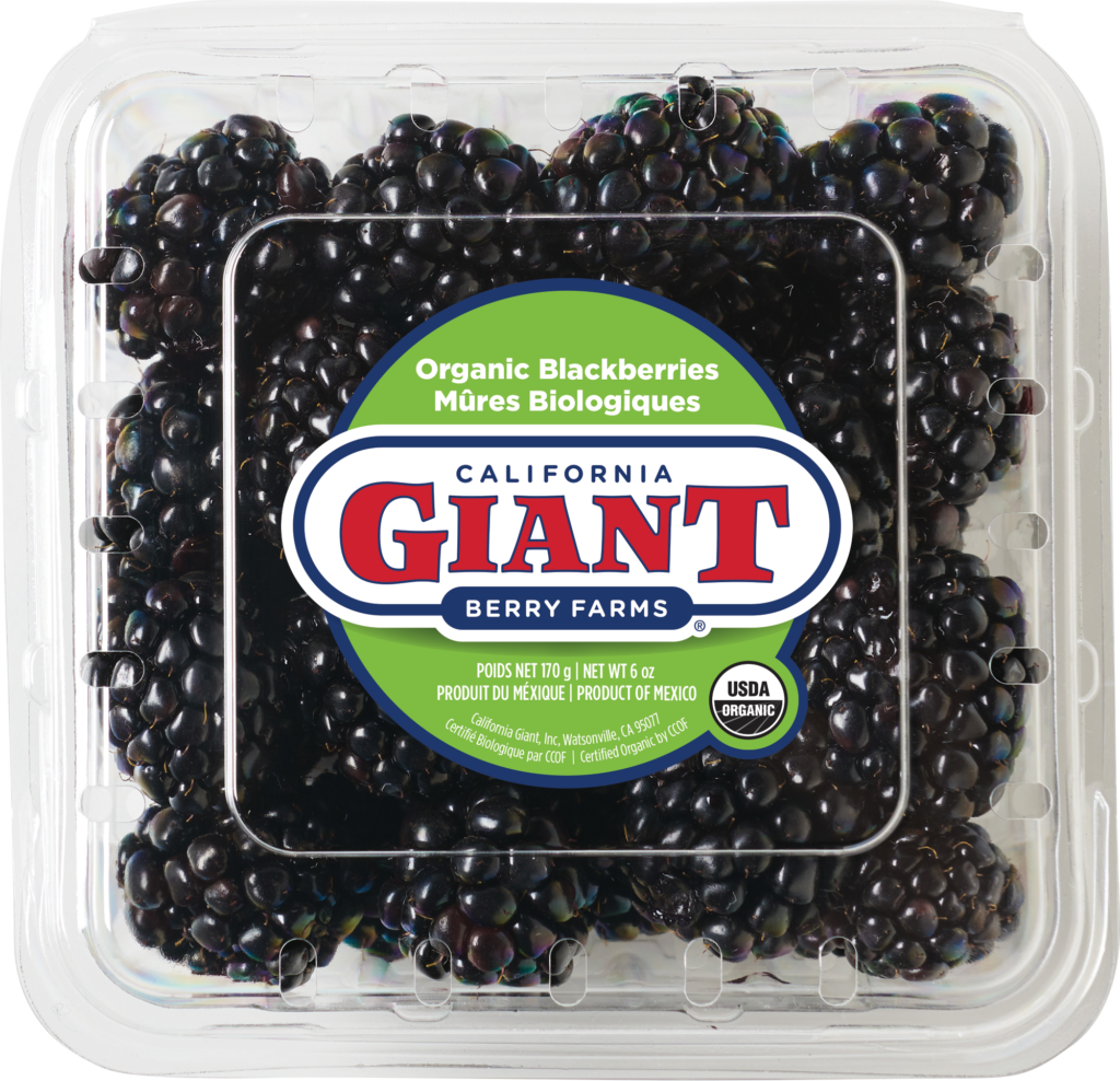 California Giant 6 oz. Organic Blackberries Clamshell