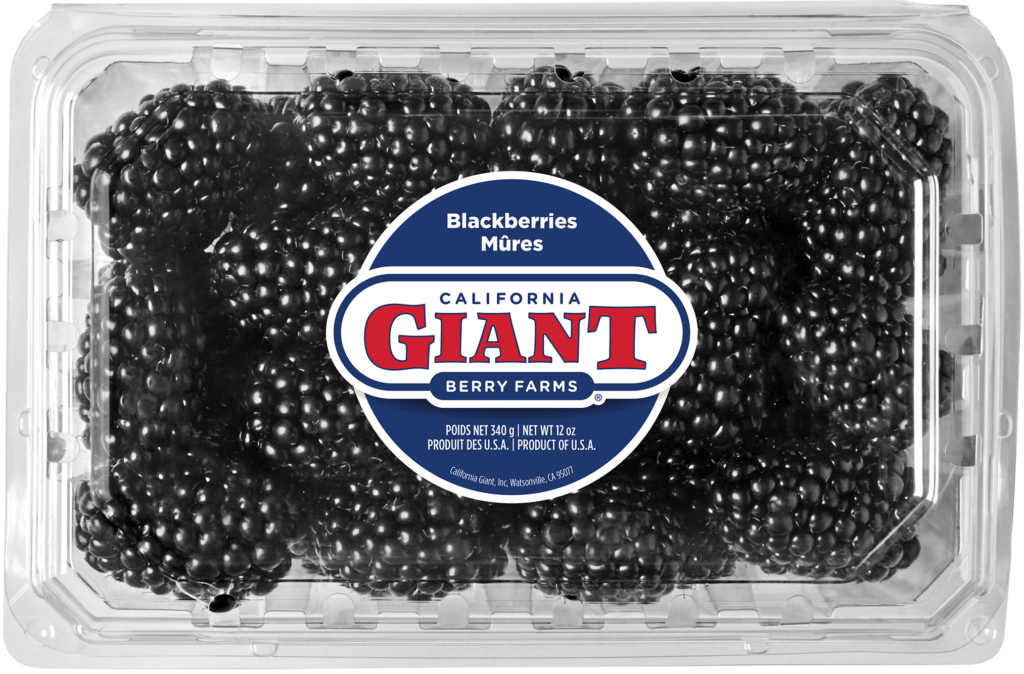 California Giant 12 oz. Conventional Blackberries Clamshell