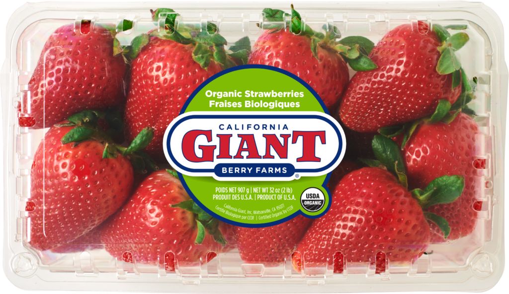 California Giant 2 lb. Organic Strawberries Clamshell