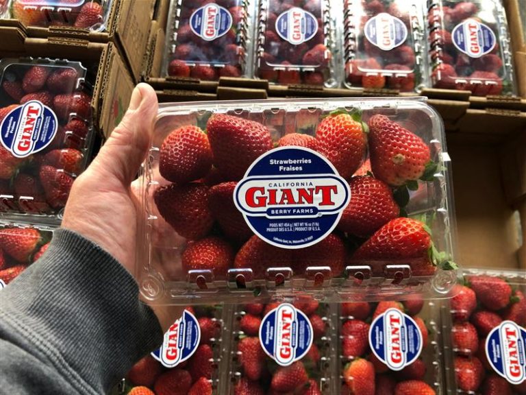 California Giant Strawberries