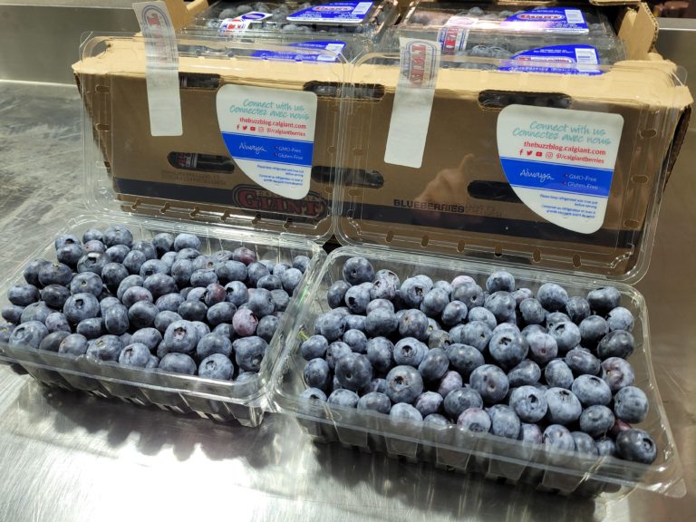 18 oz. California Giant Blueberries