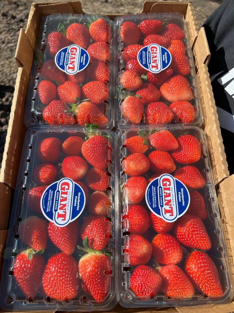 2 LB California Giant Strawberries
