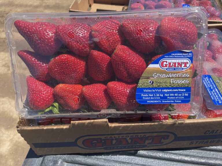 3lb California Giant Strawberries