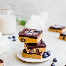 Chocolate Blueberry Peanut Butter Bars